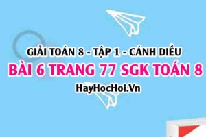 Giải bài 6 trang 77 Toán 8 Tập 1 SGK Cánh Diều